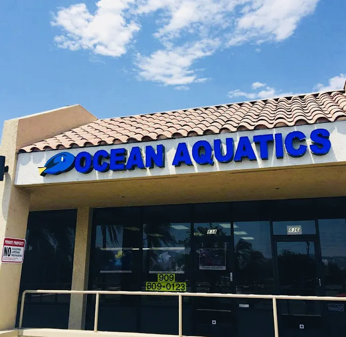 Ocean Aquatics Picture 5