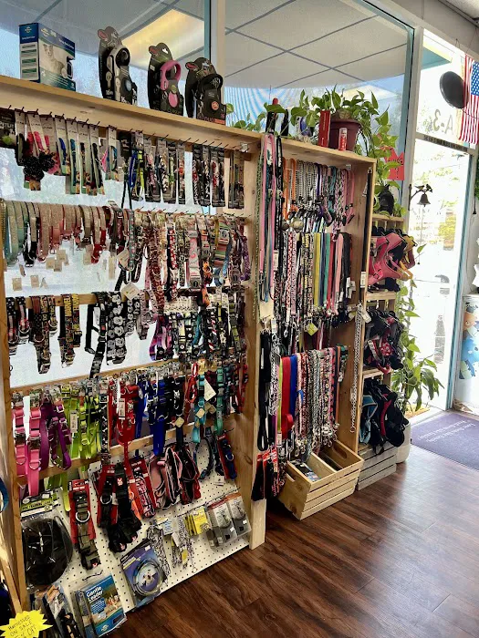 Pet Empire & Supplies Picture 7