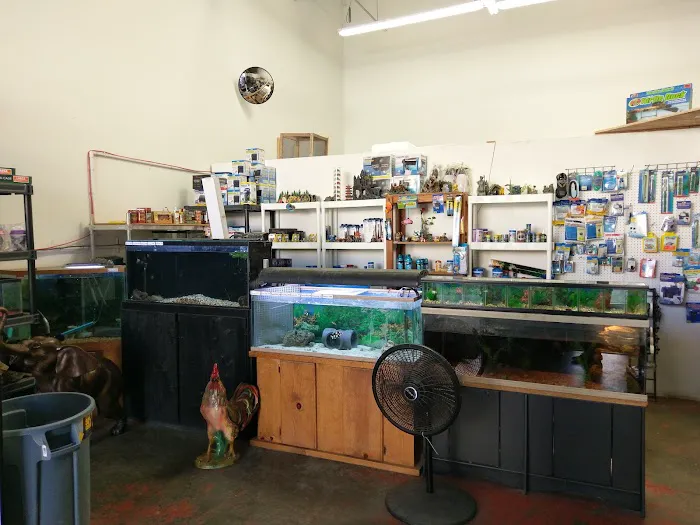 Tropical Fish and Feed Picture 10