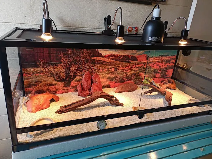 S &K Pet Shop Reptiles and Birds and supplies Picture 1