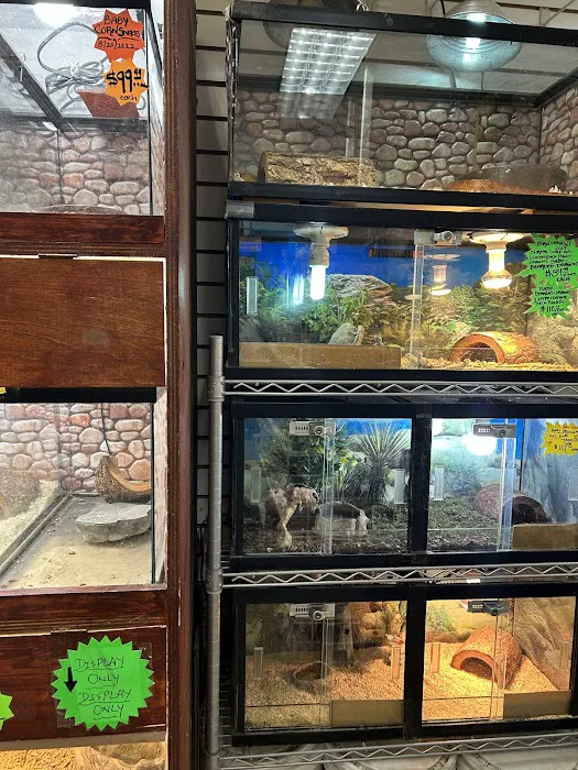 S &K Pet Shop Reptiles and Birds and supplies Picture 5