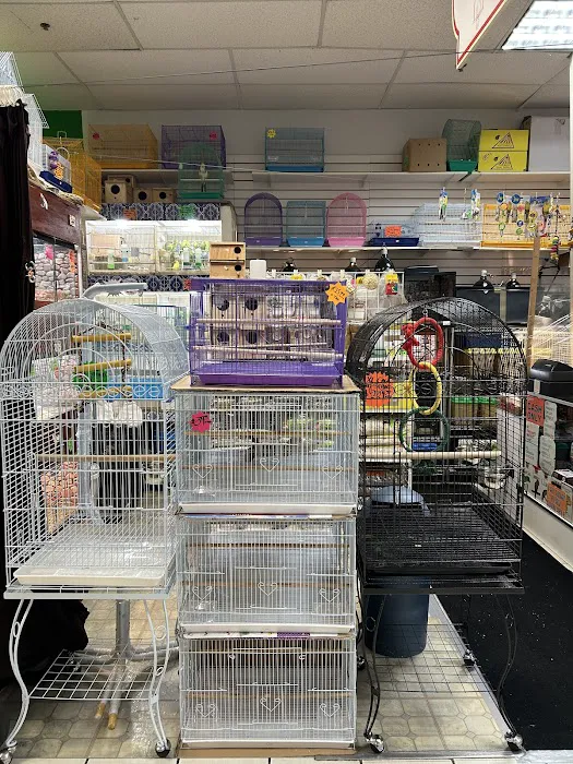 S &K Pet Shop Reptiles and Birds and supplies Picture 7