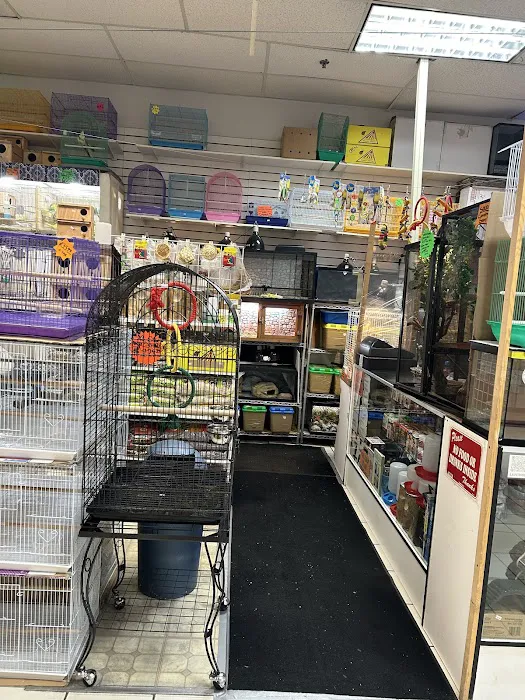 S &K Pet Shop Reptiles and Birds and supplies Picture 10