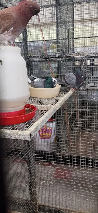 Dan's Feed & Seed Picture 1