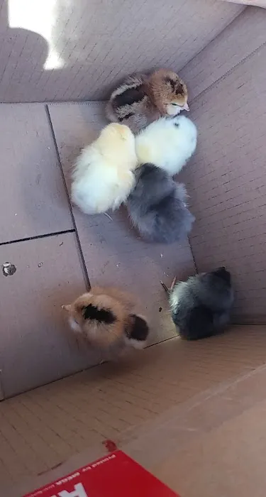 Dan's Feed & Seed Picture 2