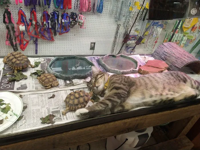 Tony's Pet Food & Supplies Picture 3