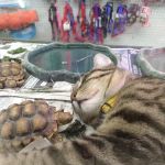 Tony's Pet Food & Supplies