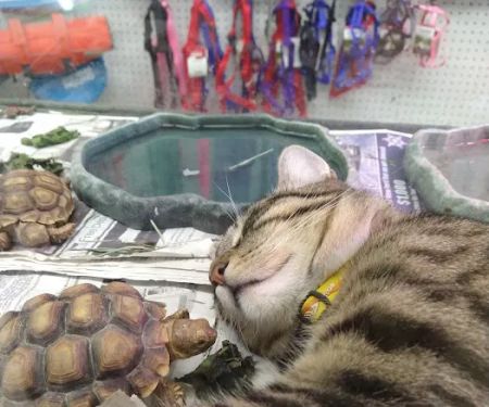 Tony's Pet Food & Supplies
