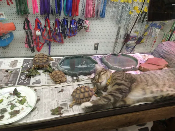 Tony's Pet Food & Supplies Picture 5