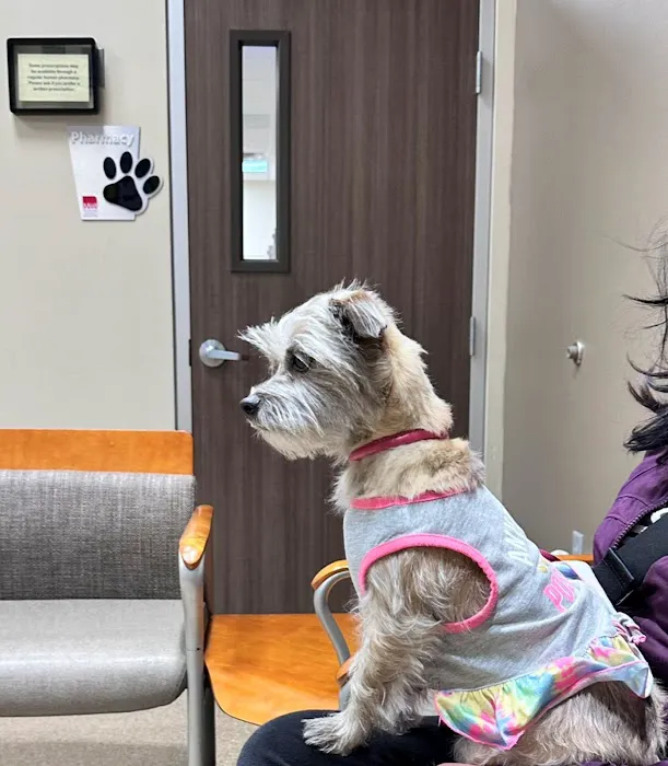 Arizona Animal Wellness Center Picture 2
