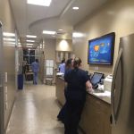 Arizona Animal Wellness Center
