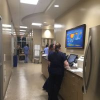 Arizona Animal Wellness Center ico