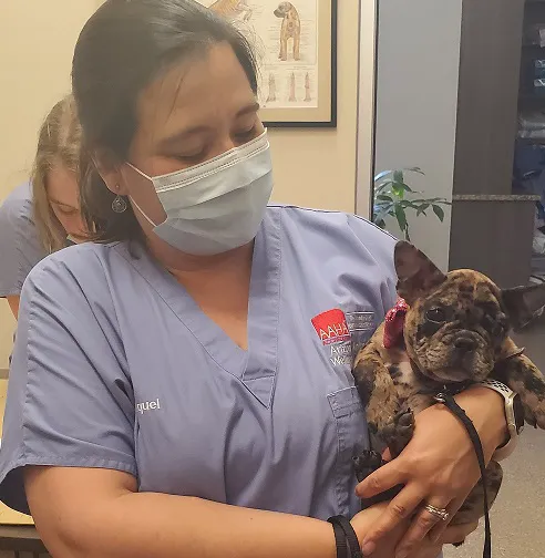 Arizona Animal Wellness Center Picture 7
