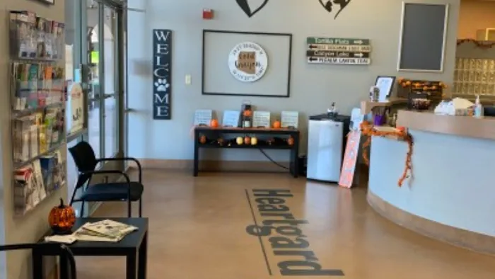 Companion Pet Clinic of Gold Canyon Picture 10