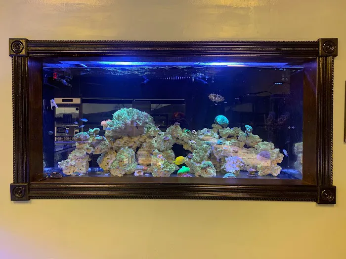 Hammer Aquatics Picture 4