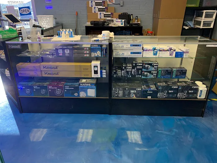 Hammer Aquatics Picture 5