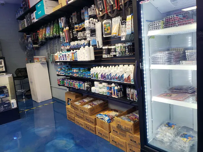 Hammer Aquatics Picture 3
