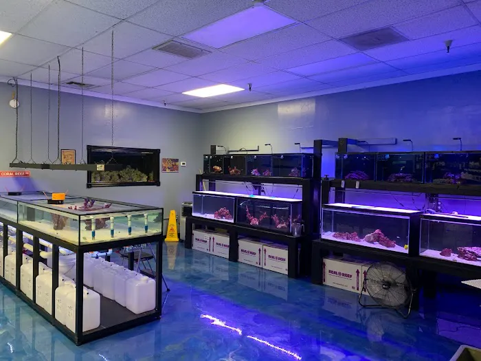 Hammer Aquatics Picture 7