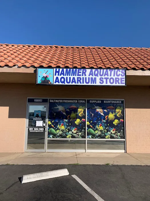 Hammer Aquatics Picture 10