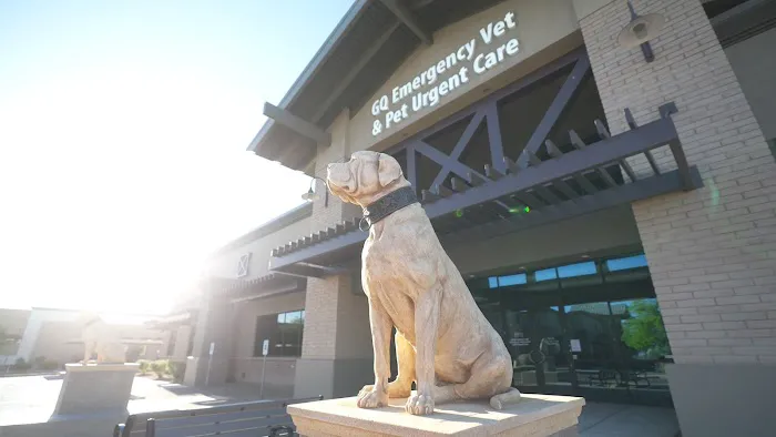 Gilbert Queen Creek Emergency Veterinarian & Pet Urgent Care Picture 7