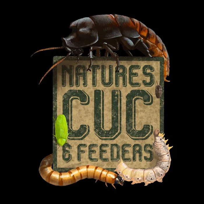 Nature's CUC and Feeders Picture 4
