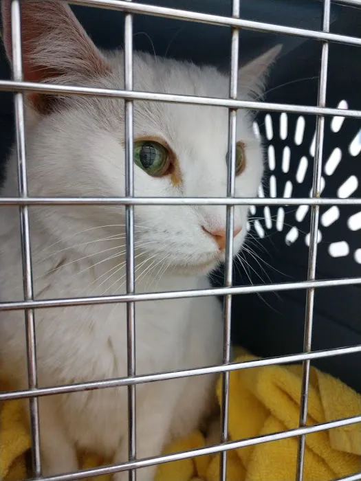Animal House Veterinary Clinic Picture 1