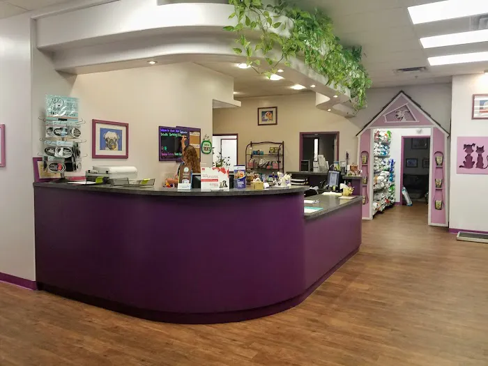 Animal House Veterinary Clinic Picture 6