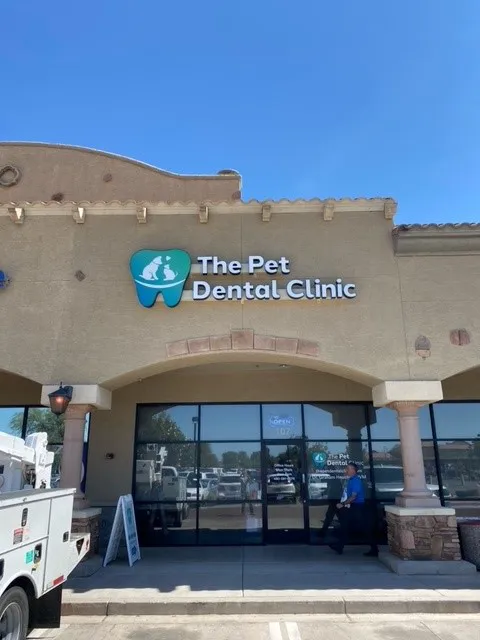 The Pet Dental Clinic Picture 4