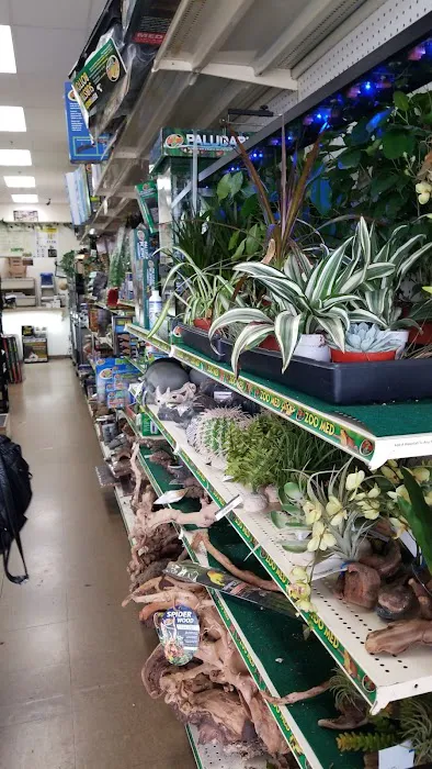 LLLReptile & Supply Menifee Picture 5