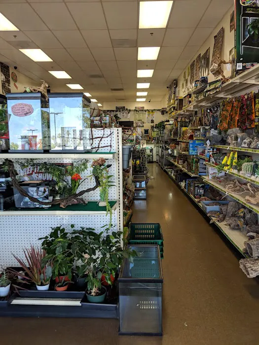 LLLReptile & Supply Menifee Picture 7