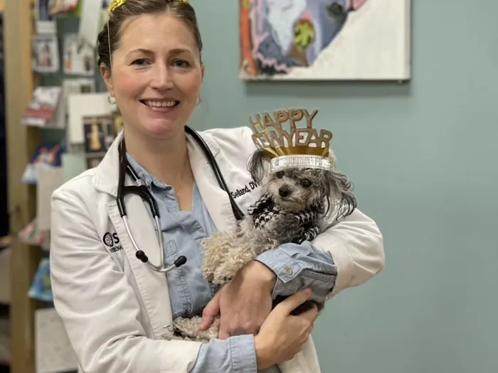 Seville Veterinary Hospital Picture 8