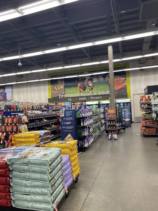 Petco Picture 2