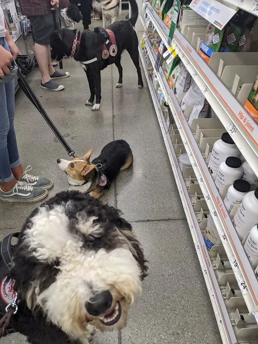 Petco Picture 5