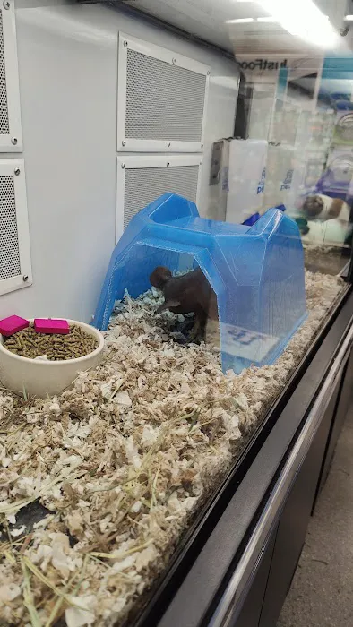 Petco Picture 8