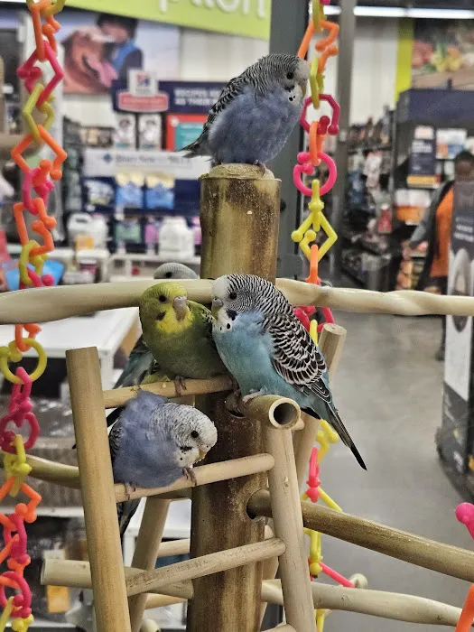 Petco Picture 7