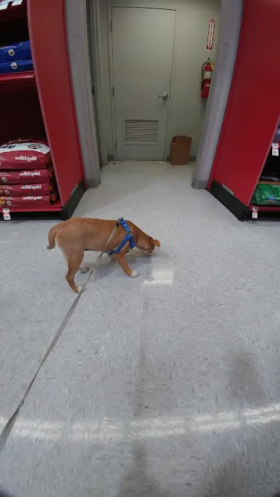 Petco Picture 1