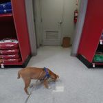 Petco