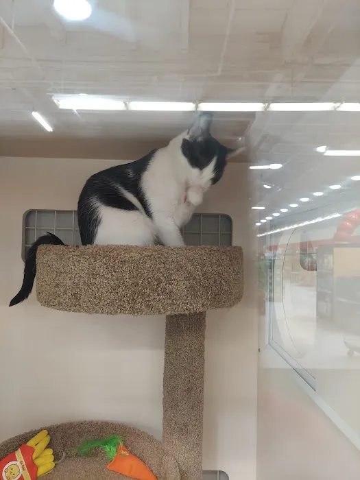 Petco Picture 2