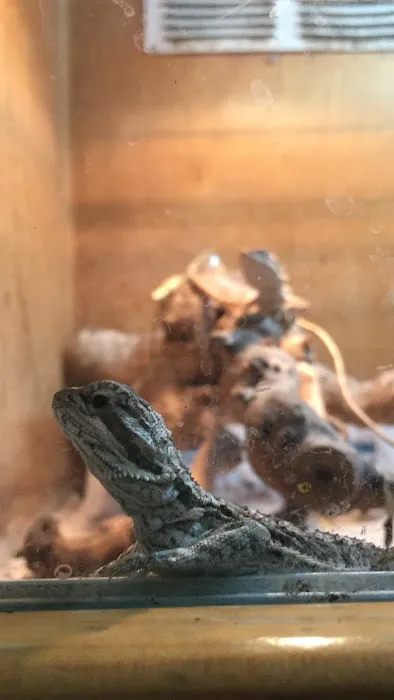 The Reptile Den Picture 1
