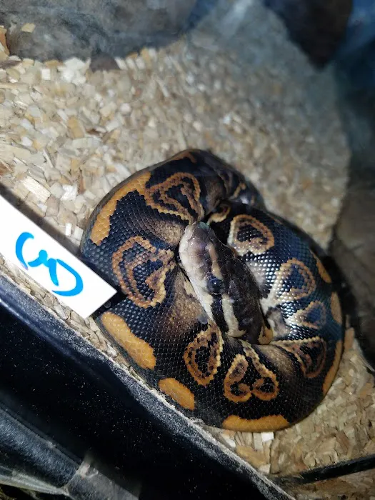 The Reptile Den Picture 2