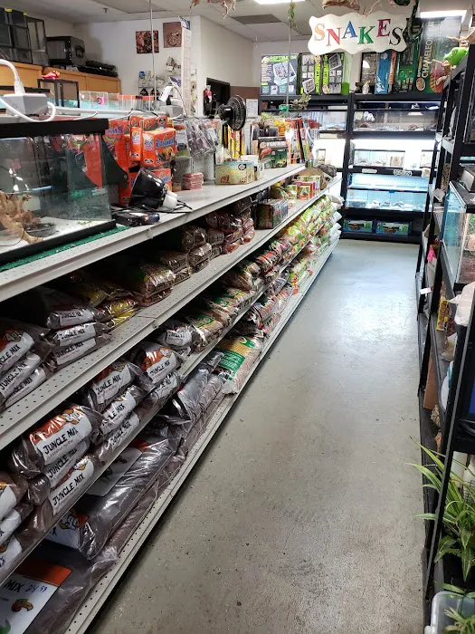 The Reptile Den Picture 4