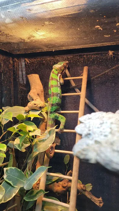 The Reptile Den Picture 10