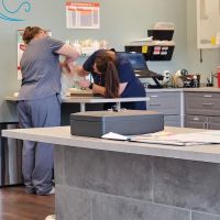 easyvet Veterinarian San Tan Valley ico