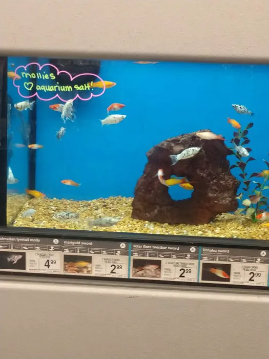 Petco Picture 2