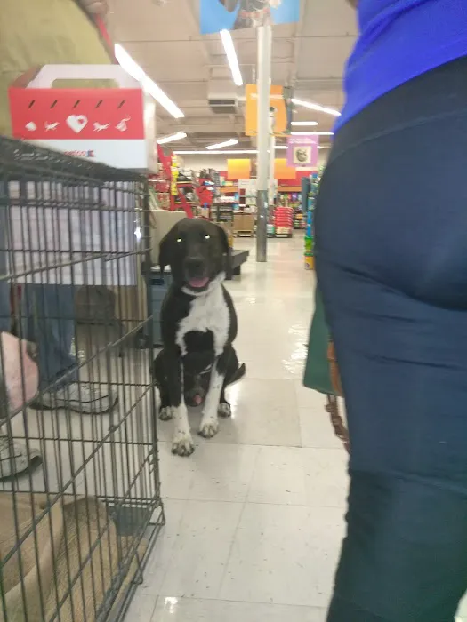 Petco Picture 1