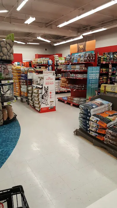 Petco Picture 8