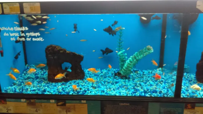 Petco Picture 10