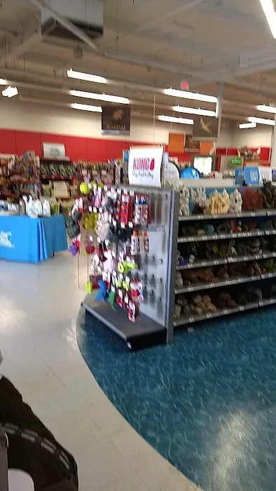 Petco Picture 7