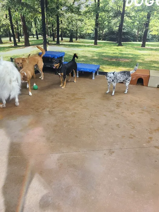 Banfield Pet Hospital Picture 6