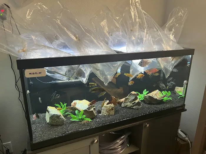 West coast cichlid supply LLC Picture 3